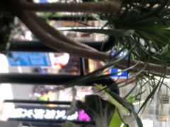 -Nectar One Cafe(勇烈路n1店)