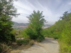 -太和山风景区