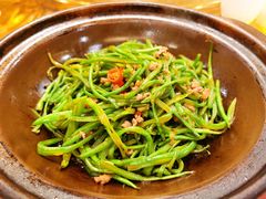 爆炒豆角-食家鸽园