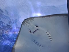 -海合安武汉极地海洋公园
