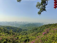 -广州市白云山风景名胜区
