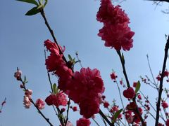 -瑶湖郊野森林公园