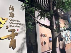 -香市公园-中国沉香文化博物馆