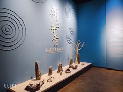 -四川宋瓷博物馆