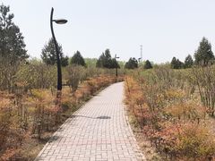 -洨河生态公园