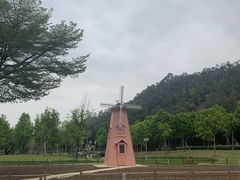 -顺峰山公园