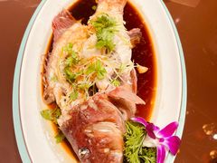 清蒸东星斑-荣鹏风味烀饼总店