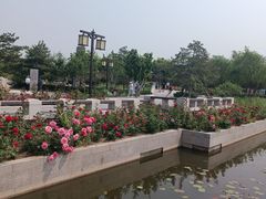 -西海子公园