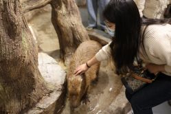 -Zoolung Zoolung动物主题公园(海信广场店)