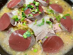 -鸽子窝(青塔店)