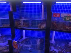 -七欣天香辣蟹火锅(万润龙河店)