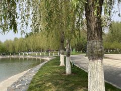 -五环公园