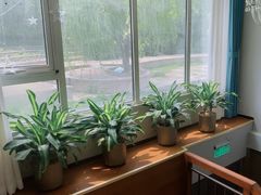 -食悦江南·淮扬菜·烤鸭(亚运村·惠新店)