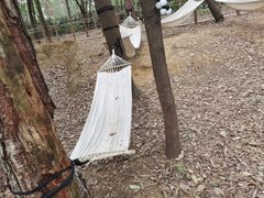 -成都松鼠部落