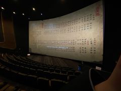 -金逸影城(光美江宁IMAX店)