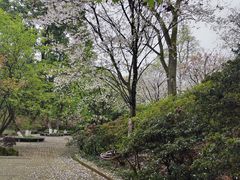 -南山植物园