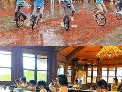 -长鹿旅游休博园