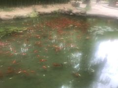 -竹泉村旅游度假区