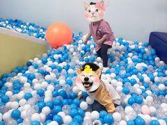 -小门牙好性格托育(北外滩中心)