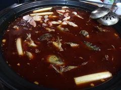 -金海椒罐罐鲢鱼(东方桂苑店)