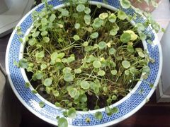 大堂-明堂青年旅舍