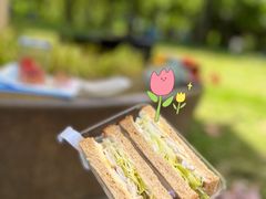 -卡吉诺动物奶油生日蛋糕(东明路店)