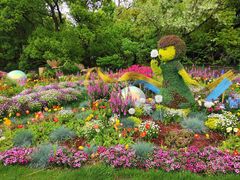 -上海共青森林公园