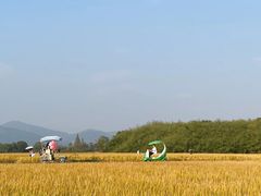 -良渚古城遗址公园