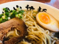 -日出拉面(望京店)