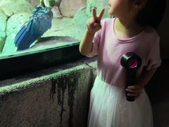 -福州罗源湾海洋世界旅游区