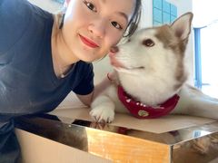 -Husky Go! 哈士奇体验馆·宠物咖啡厅狗咖