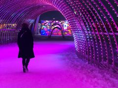 -长春世界雕塑园冰雪艺术天地