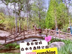-白水寺森林公园