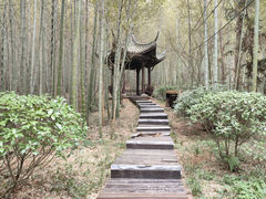 -游子山休闲旅游区