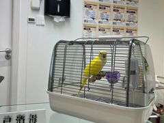 -立德异宠动物医院.兔鸟爬.内窥镜(天河店)