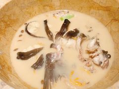 -云海肴云南菜·蒸汽石锅鱼(青岛万象城店)