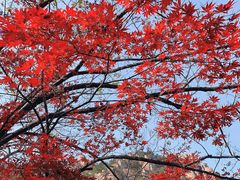 -崂山九水游览区