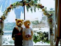 -济州岛泰迪熊博物馆