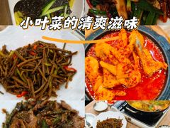 -喜来苑