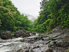 -四明山国家森林公园