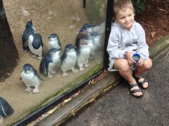 -费瑟代尔野生动物园