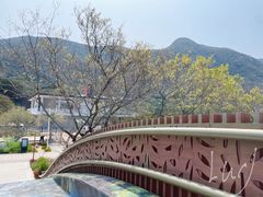 -西涌国际滨海旅游区