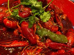 -红辣椒·川菜·火锅(张杨路店)