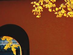 -松鹤楼(山塘街店)