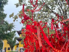 -常州天宁禅寺