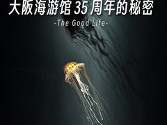 -大阪海游馆