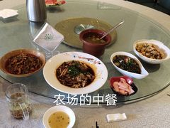 -洪湖家庭农场·团建·露营·会议