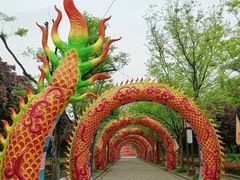 -洛阳市隋唐城遗址植物园