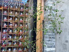 -创艺无限·赵春香微妙艺术馆