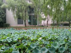 -绍兴鉴湖君澜大酒店